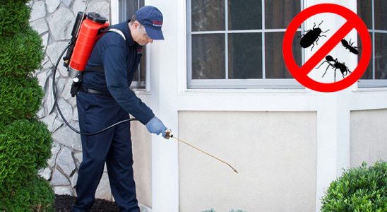 Yayladere Kemirgen İlaçlama böcek ilaçlama ve haşere kontrolü — ilaclama-tr.com